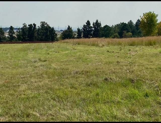 FARM FOR SALE IN TREESBANK